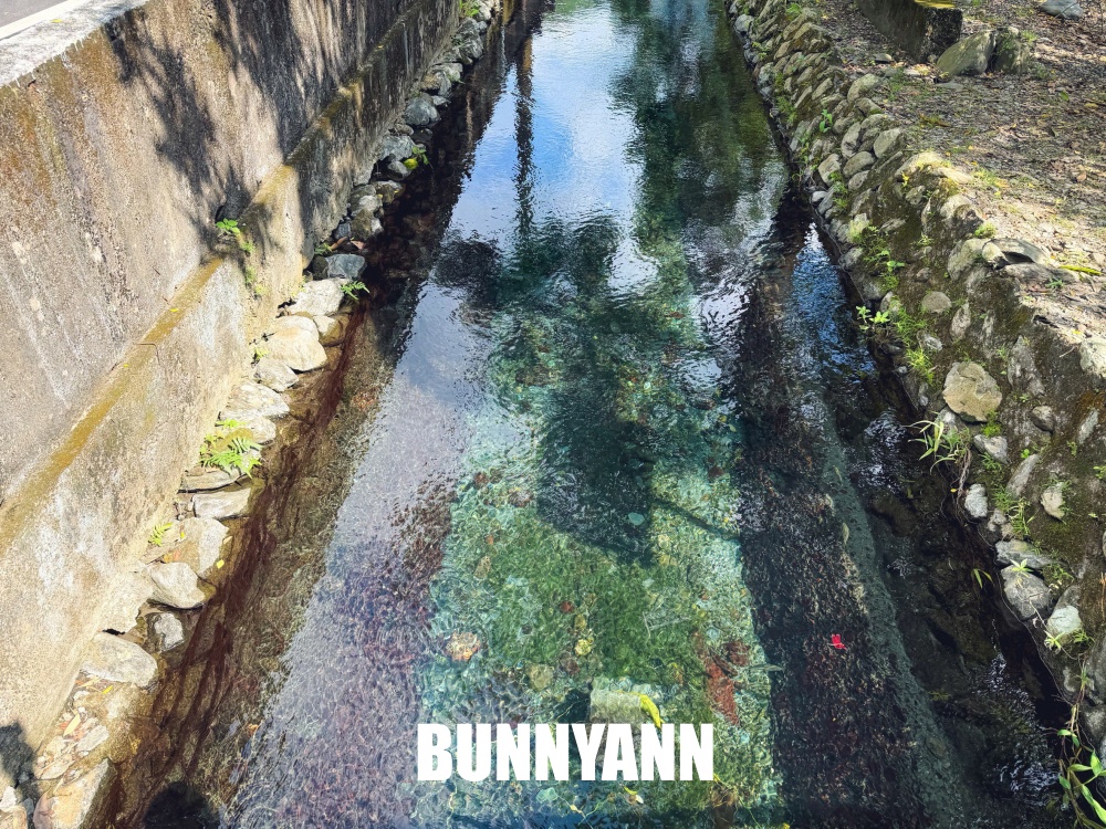 屏東這部落超隱密，沁涼二峰圳竟然好多小魚，圳水又乾淨透徹好美麗
