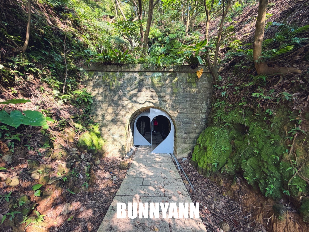 金瓜石這小景點超隱密，愛心隧道免門票就能逛，礦山森林景色又很有味道