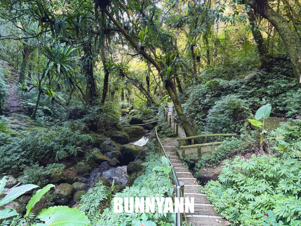 原本以為冷門很弱，結果高落差瀑布美到不想走，連休憩平台都有保留下！