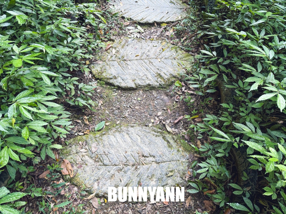 原本以為冷門很弱，結果高落差瀑布美到不想走，連休憩平台都有保留下！