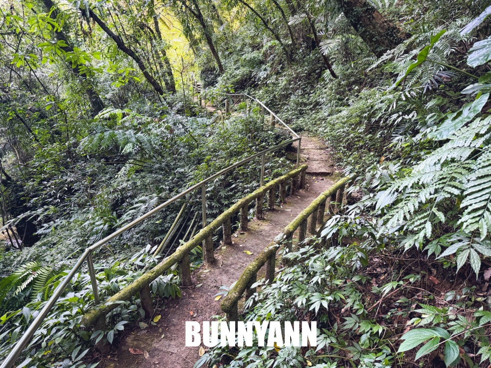 原本以為冷門很弱，結果高落差瀑布美到不想走，連休憩平台都有保留下！