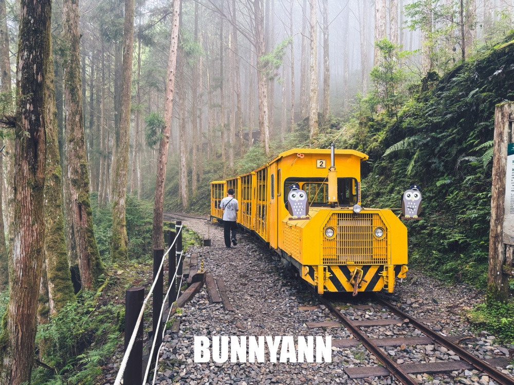 一半的人沒搭過，就是山上鐵路小火車，來回兩小時，行駛在雲霧山嵐超美