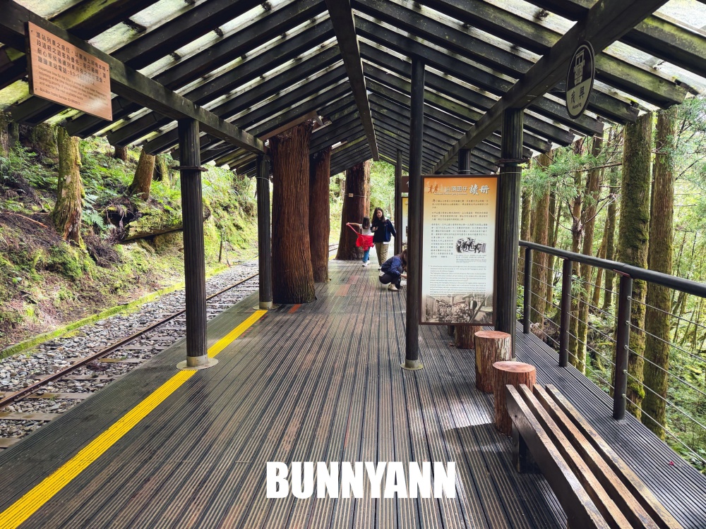 一半的人沒搭過，就是山上鐵路小火車，來回兩小時，行駛在雲霧山嵐超美