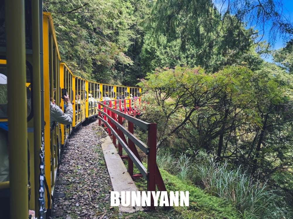 一半的人沒搭過，就是山上鐵路小火車，來回兩小時，行駛在雲霧山嵐超美