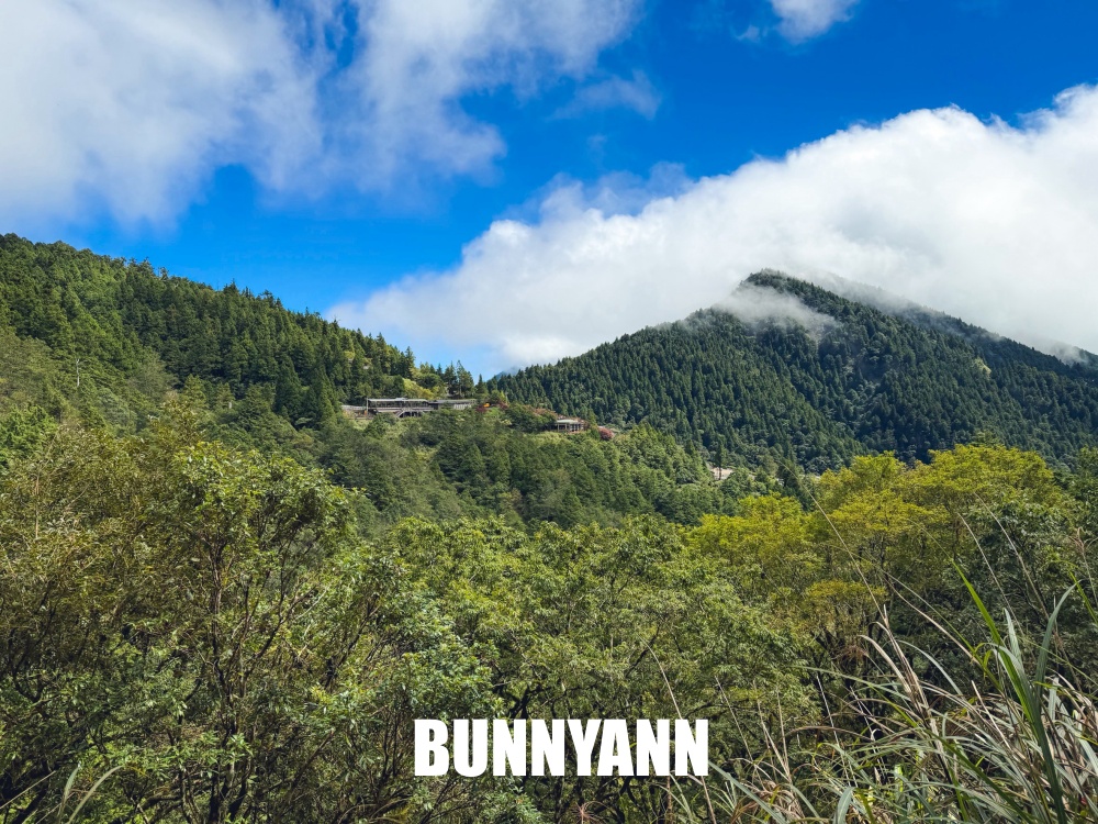 一半的人沒搭過，就是山上鐵路小火車，來回兩小時，行駛在雲霧山嵐超美
