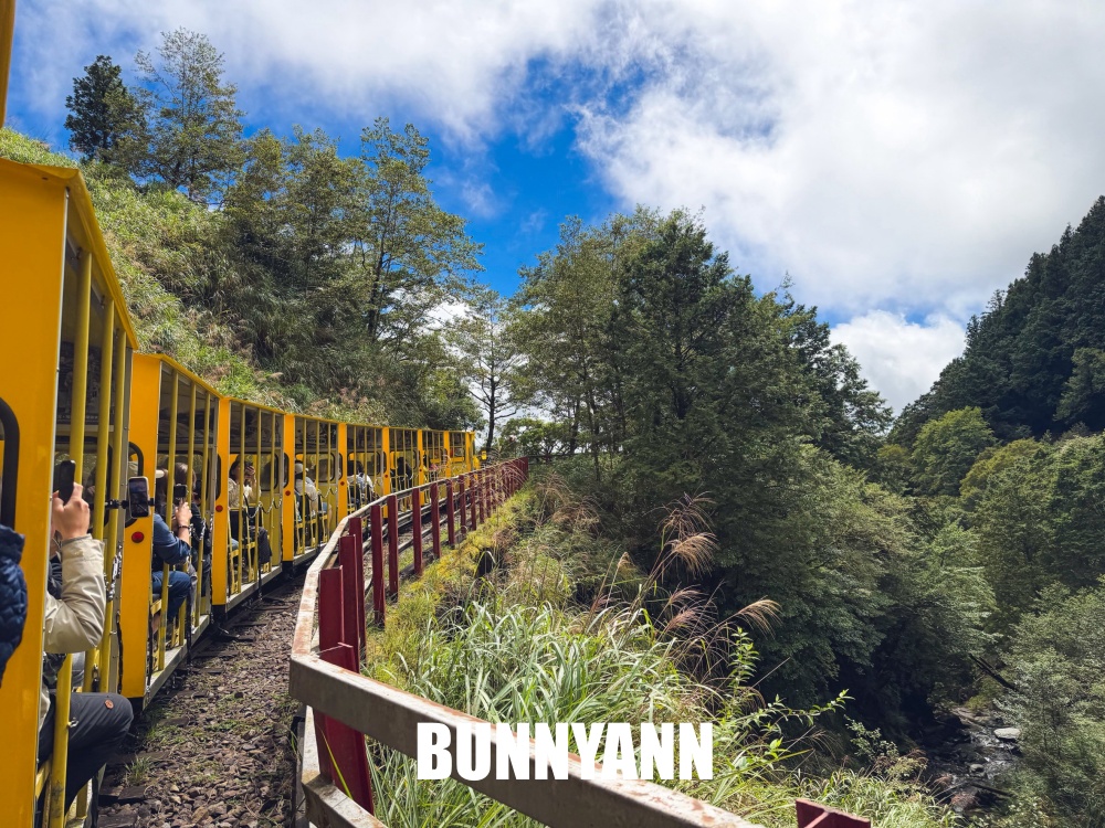 一半的人沒搭過，就是山上鐵路小火車，來回兩小時，行駛在雲霧山嵐超美