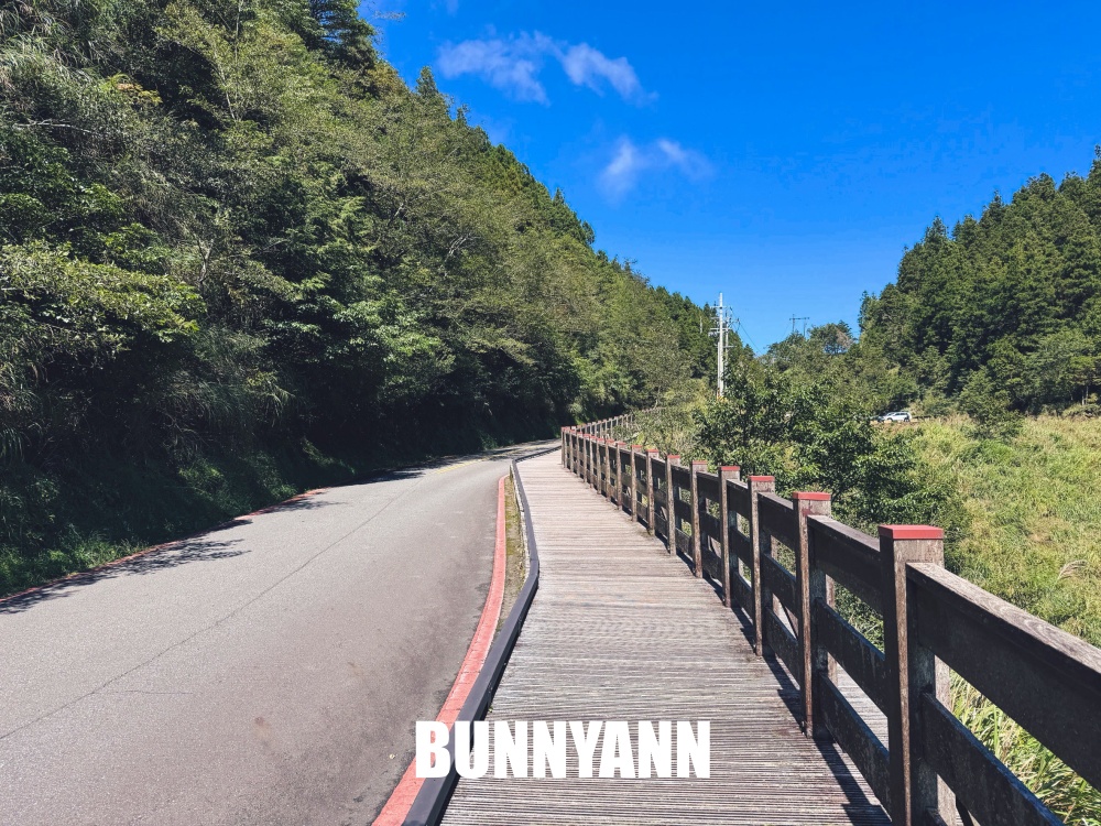 一半的人沒搭過，就是山上鐵路小火車，來回兩小時，行駛在雲霧山嵐超美