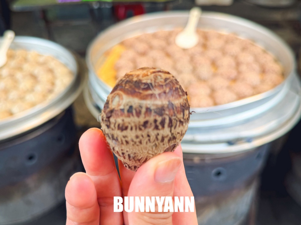 以為賣樹木球根給客人，結果竟然是能吃的芋頭，草仔粿也是主打