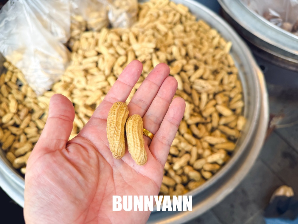 以為賣樹木球根給客人，結果竟然是能吃的芋頭，草仔粿也是主打
