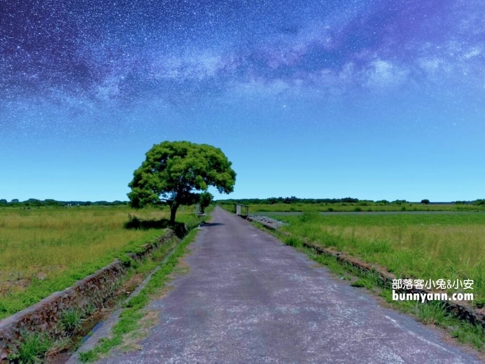宜蘭景點》I SEE YOU，南澳金城武樹，美拍星空與油綠稻田伯朗大道~