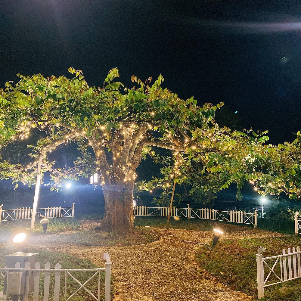彰化【銀河鐵道望景餐廳】夢幻城市夜景、親子溜滑梯、星空帳篷超美