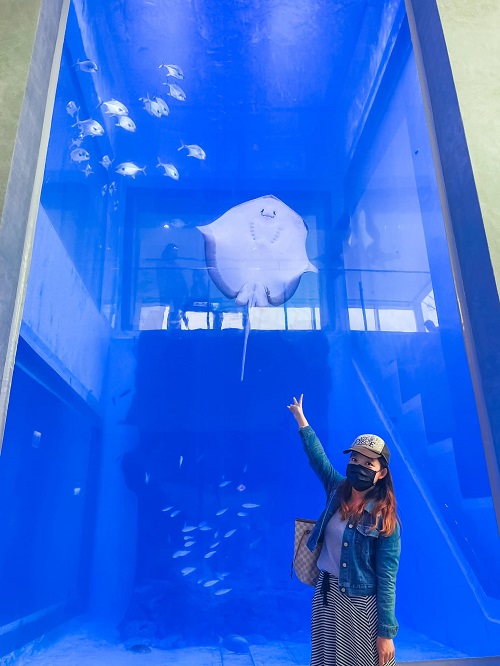 基隆【潮境智能海洋館】最強室內水族館，門票、優惠、交通全攻略