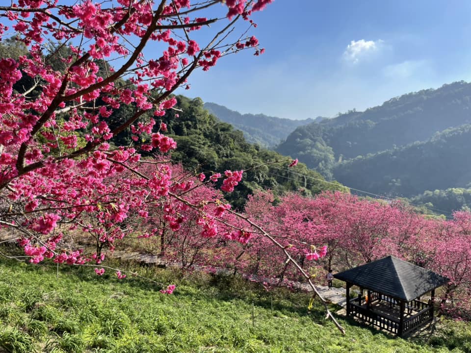 台中【沐心泉休閒農場】推薦沐心泉一日遊，四季賞花最佳地點。