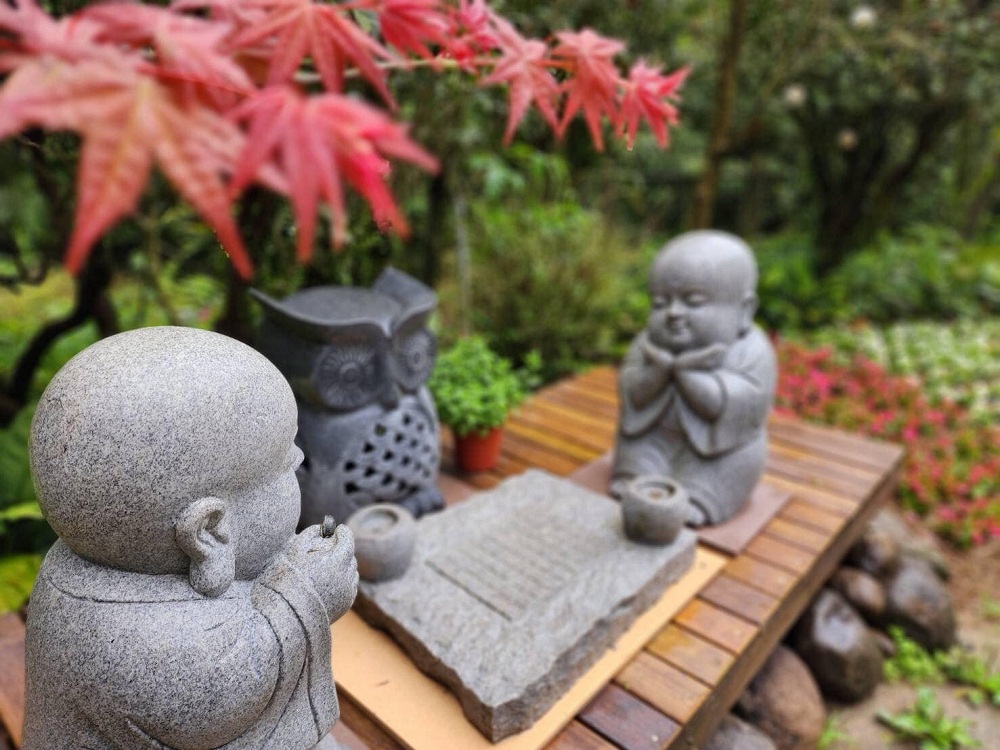 台北陽明山奧萬大樂活莊園，賞楓紅最佳景點，門票資訊介紹!!
