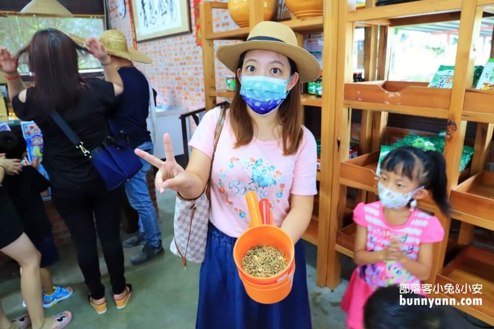 宜蘭【農夫青蔥體驗農場】來拔三星蔥回家，餵梅花鹿吃飯