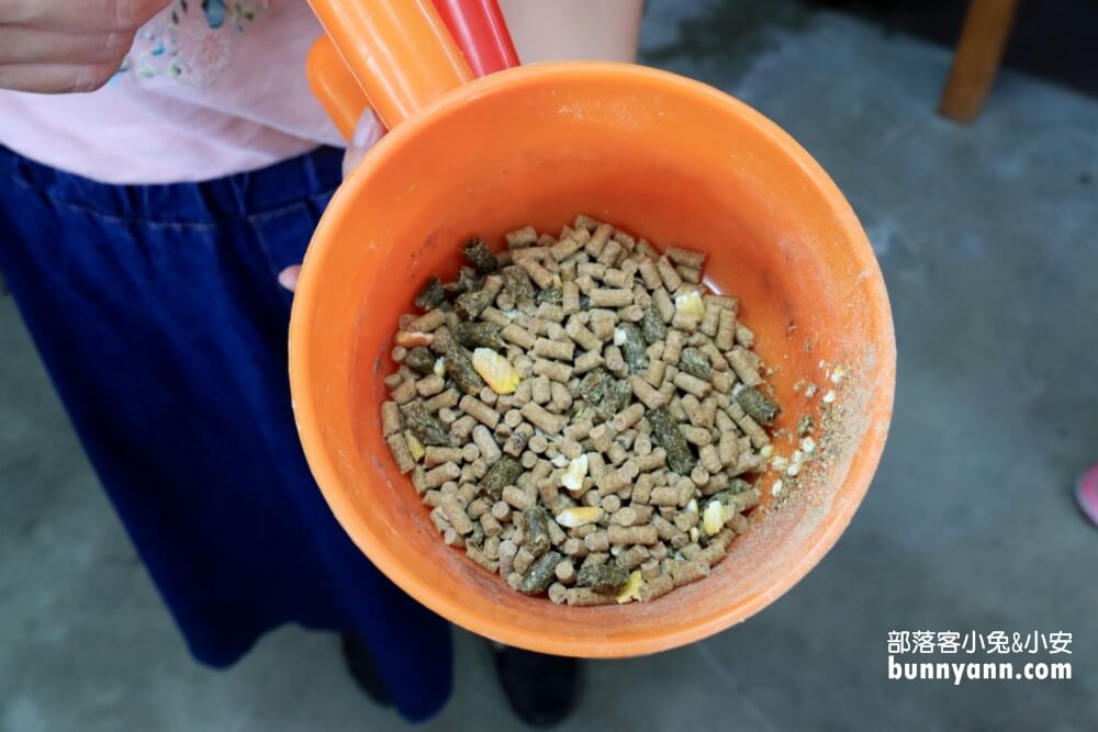 宜蘭【農夫青蔥體驗農場】來拔三星蔥回家，餵梅花鹿吃飯
