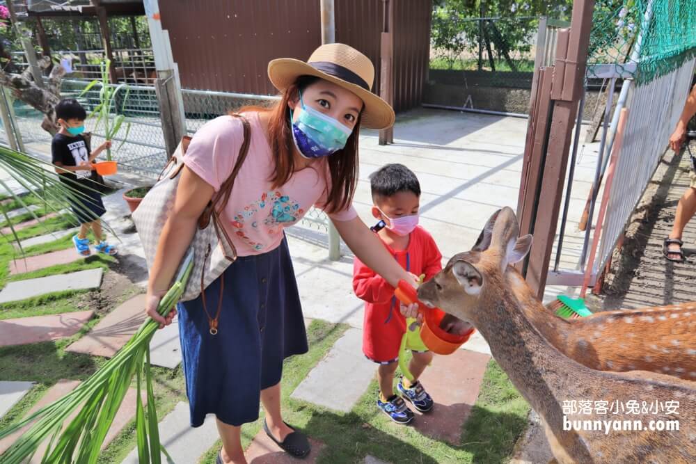 宜蘭【農夫青蔥體驗農場】來拔三星蔥回家，餵梅花鹿吃飯