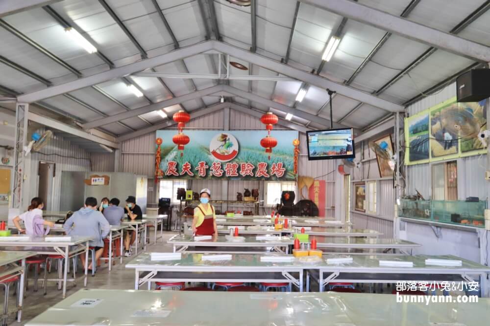 宜蘭【農夫青蔥體驗農場】來拔三星蔥回家，餵梅花鹿吃飯