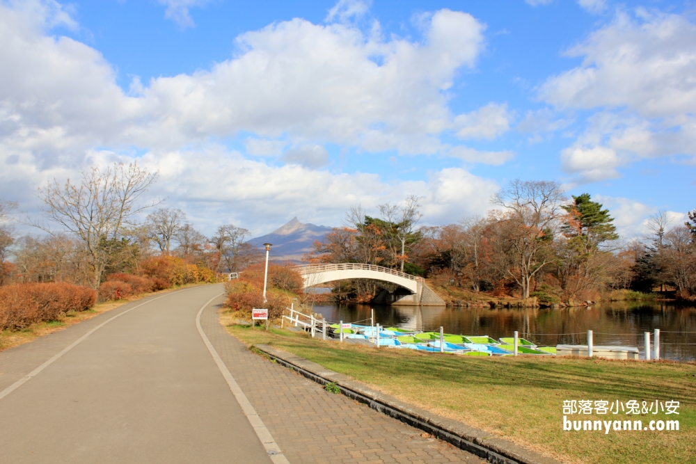 函館朝市｜來吃北海道新鮮海膽與螃蟹順遊大沼湖