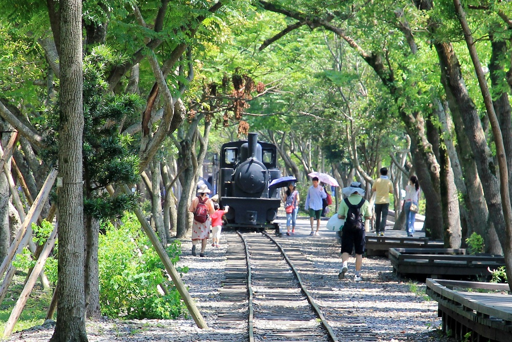 宜蘭最Chill森林步道！羅東林業文化園區必走的湖畔步道與懷舊火車頭