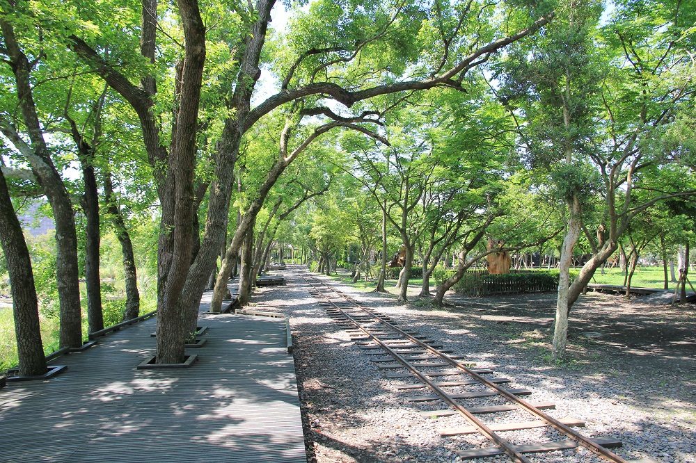 宜蘭最Chill森林步道！羅東林業文化園區必走的湖畔步道與懷舊火車頭