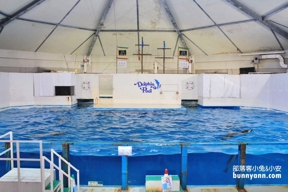 尼克斯海洋公園｜看小企鵝緩慢散步，北歐城堡好漂亮