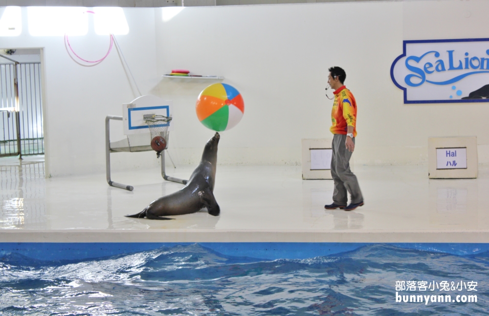 尼克斯海洋公園｜看小企鵝緩慢散步，北歐城堡好漂亮