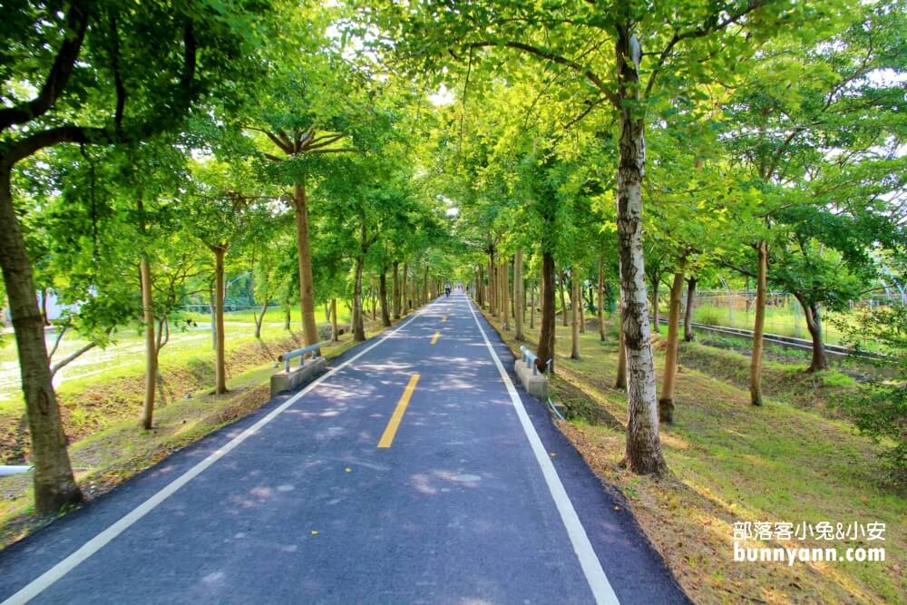 台中單車景點《潭雅神綠園道》浪漫s彎道與波浪自行車道真有趣!!