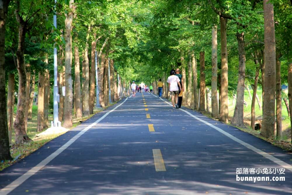 台中單車景點《潭雅神綠園道》浪漫s彎道與波浪自行車道真有趣!!