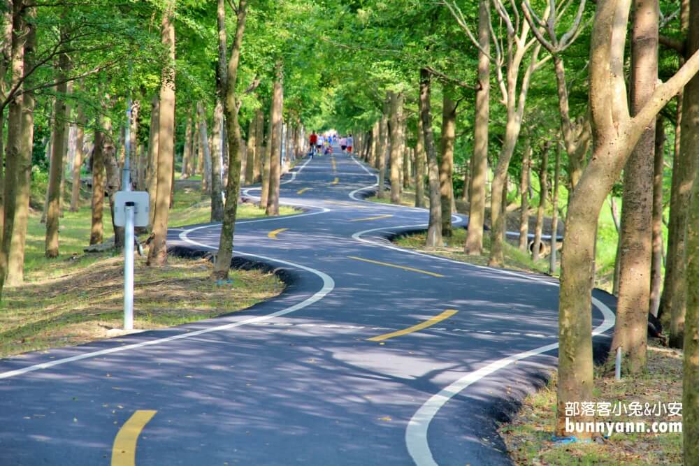 台中單車景點《潭雅神綠園道》浪漫s彎道與波浪自行車道真有趣!!
