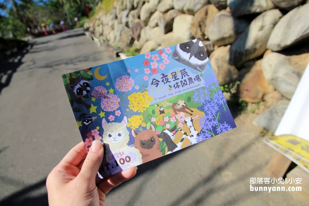 彰化景點》今夜星辰休閒農場，可愛羊駝與兔子群出沒中！