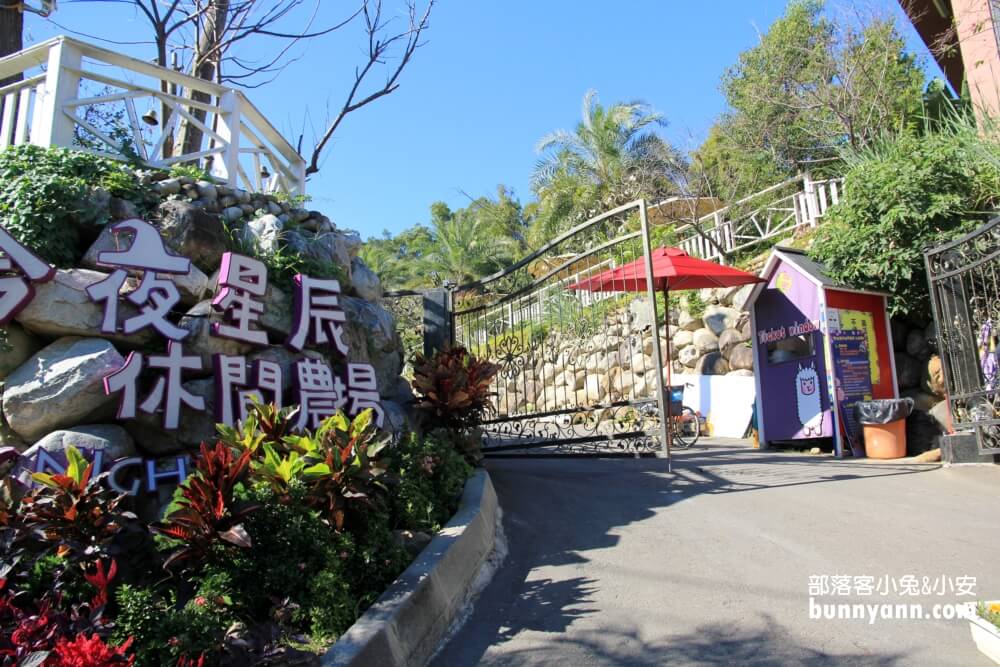 彰化景點》今夜星辰休閒農場，可愛羊駝與兔子群出沒中！