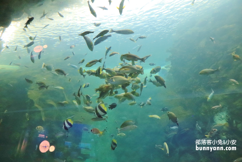 澎湖【後寮天堂路】海上步道與詳細介紹觀光指南