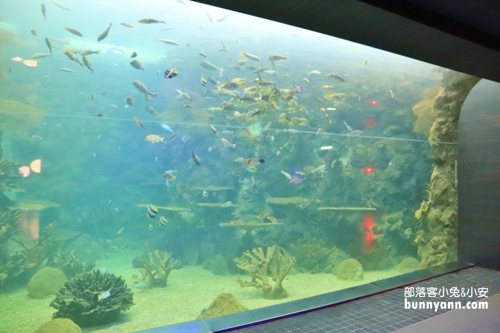 澎湖【後寮天堂路】海上步道與詳細介紹觀光指南