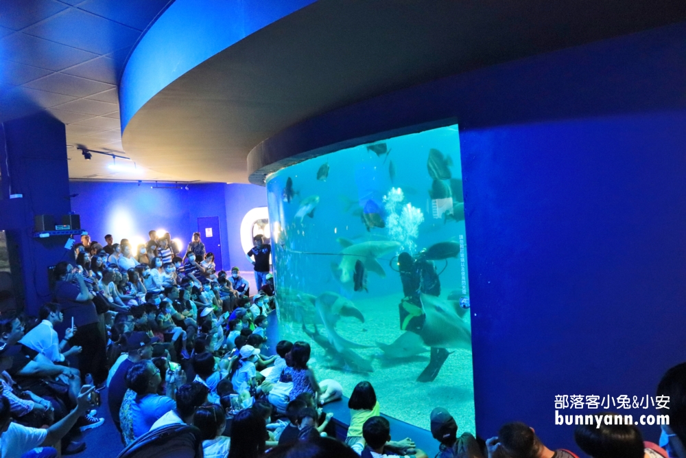 暢遊水中王國「澎湖水族館」門票、優惠、交通總整理攻略。