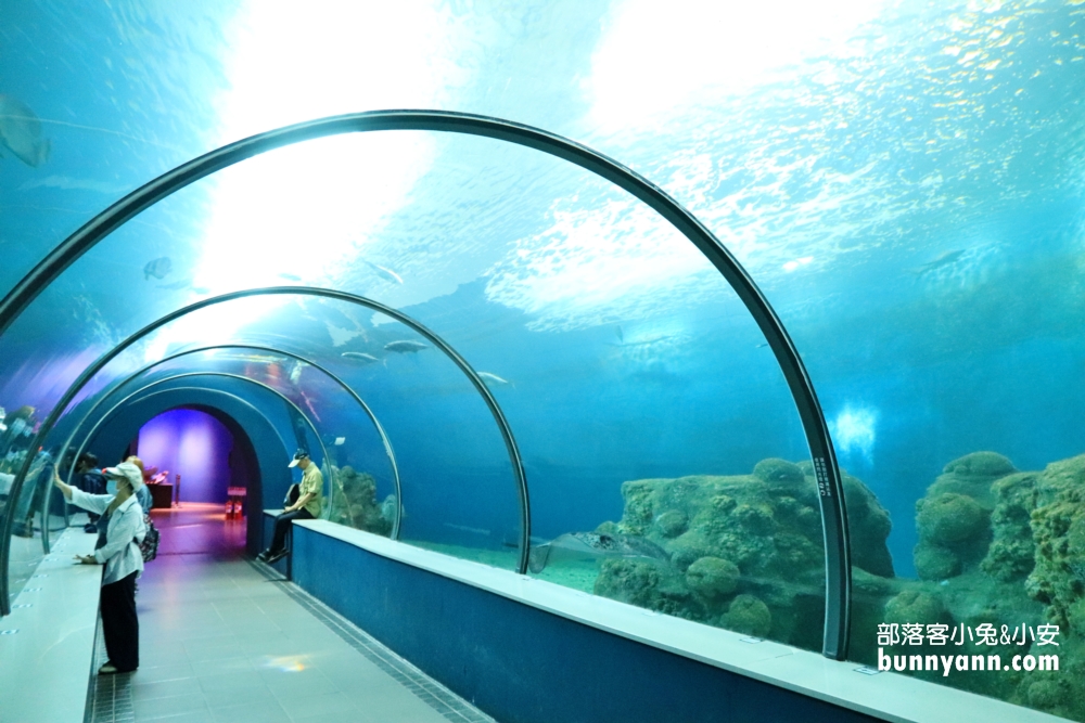 澎湖【後寮天堂路】海上步道與詳細介紹觀光指南