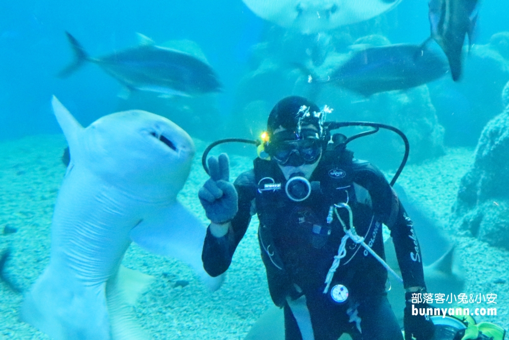 暢遊水中王國「澎湖水族館」門票、優惠、交通總整理攻略。