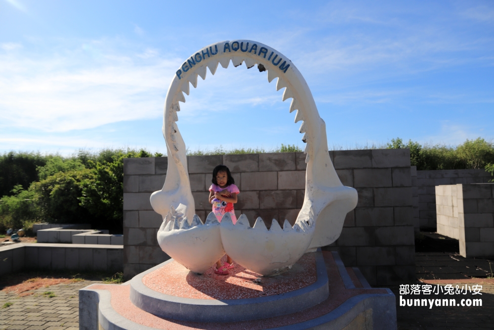 暢遊水中王國「澎湖水族館」門票、優惠、交通總整理攻略。