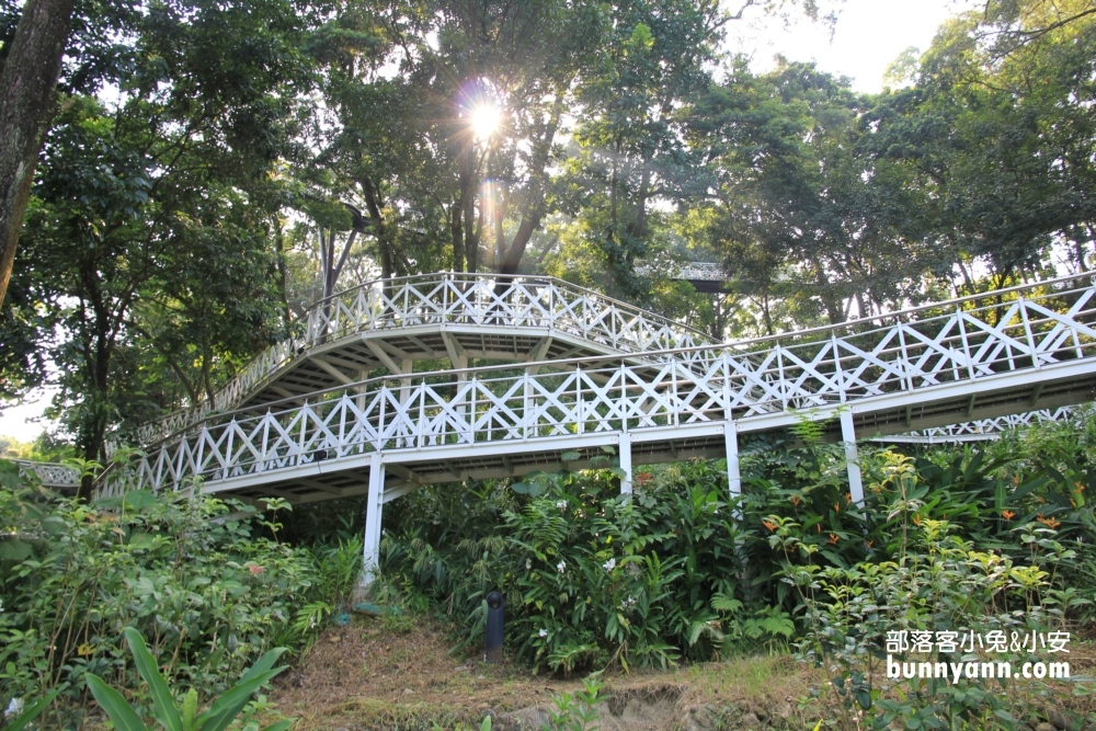 一定要來【竹崎公園天空走廊】花仙子步道空中廊道參觀指南