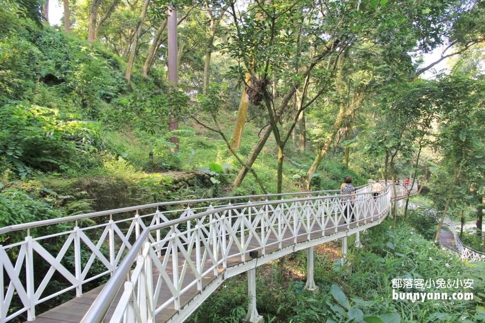 一定要來【竹崎公園天空走廊】花仙子步道空中廊道參觀指南