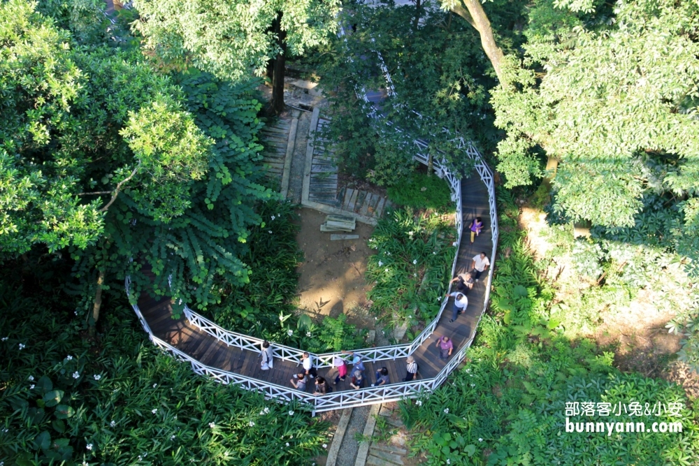 一定要來【竹崎公園天空走廊】花仙子步道空中廊道參觀指南