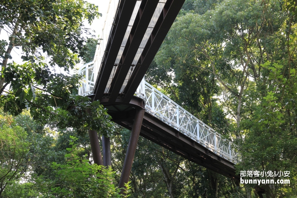 一定要來【竹崎公園天空走廊】花仙子步道空中廊道參觀指南