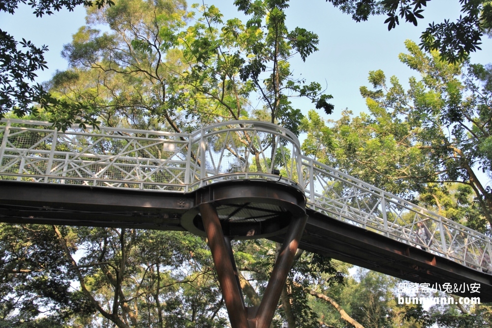 一定要來【竹崎公園天空走廊】花仙子步道空中廊道參觀指南
