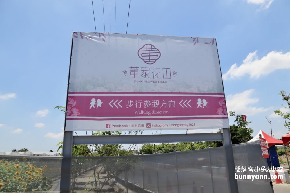 彰化景點》董家花田，田尾繽紛四季花海，戶外野餐好地方