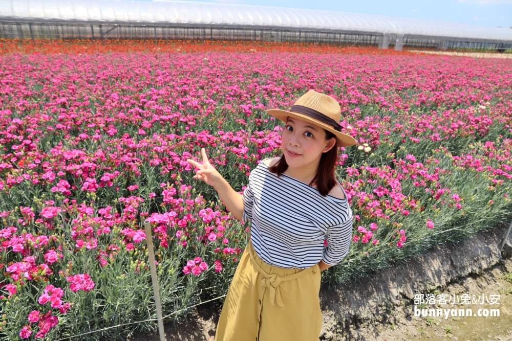彰化景點》董家花田，田尾繽紛四季花海，戶外野餐好地方