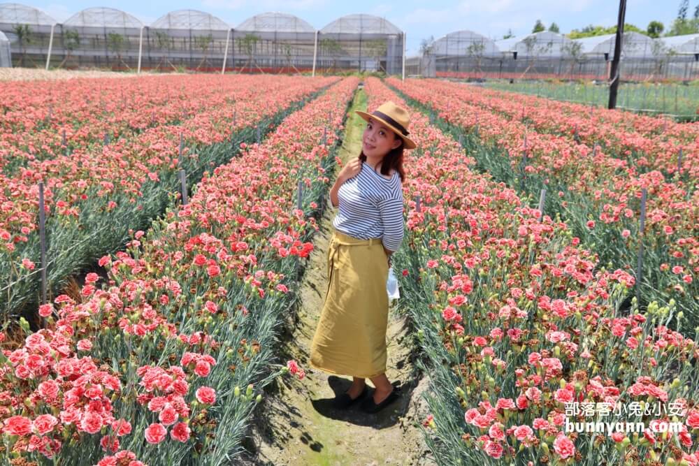 彰化景點》董家花田，田尾繽紛四季花海，戶外野餐好地方