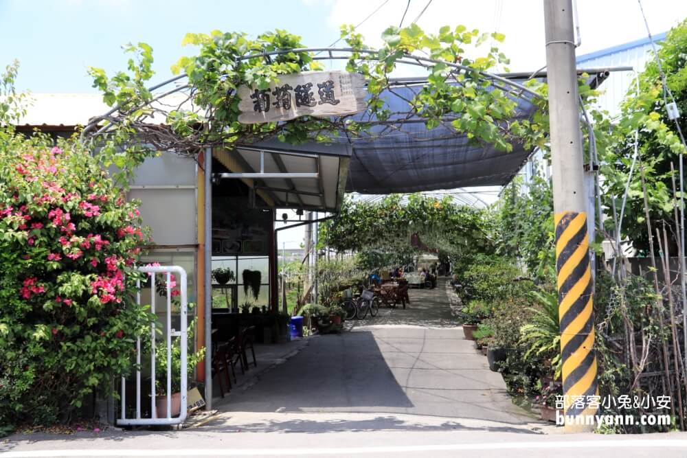 【路葡萄酒莊】免費參觀路葡萄隧道休閒農場，葡萄冰淇淋必吃