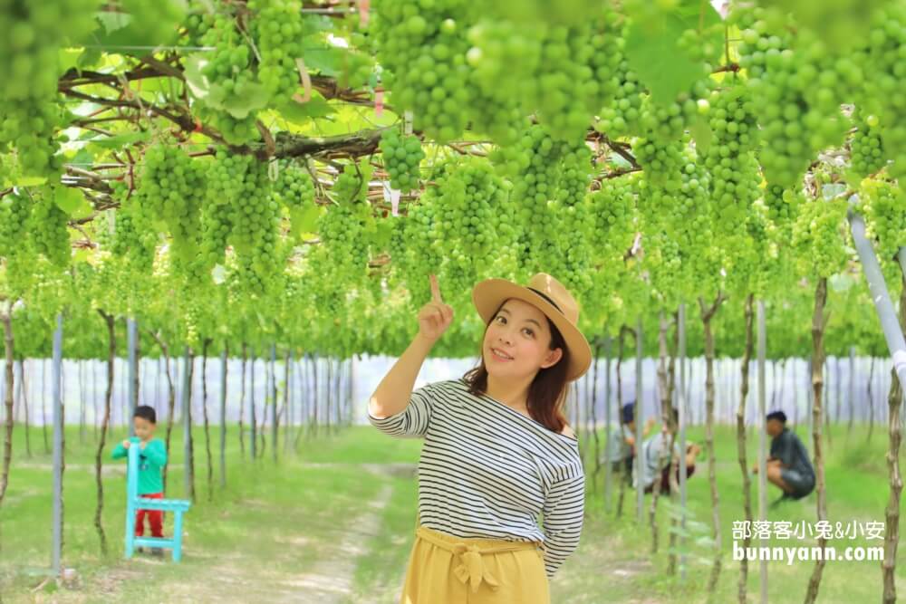 【路葡萄酒莊】免費參觀路葡萄隧道休閒農場，葡萄冰淇淋必吃