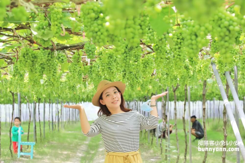 【路葡萄酒莊】免費參觀路葡萄隧道休閒農場，葡萄冰淇淋必吃