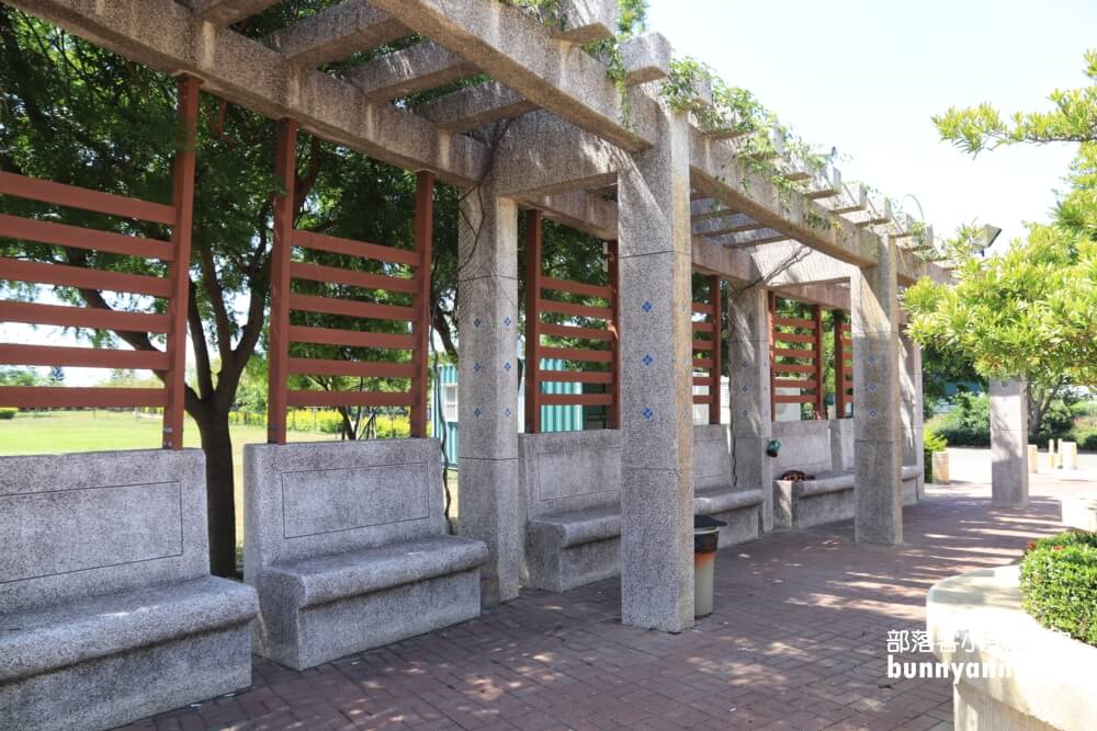 彰化景點》秀水龍騰公園，超高大金龍在這拍，賞綻放荷花，散步出遊好地方